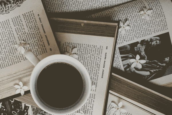 Vers la fin de la fiction dans la littérature ?